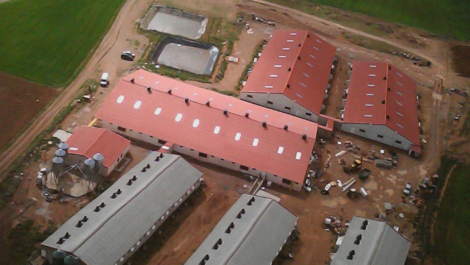 Las granjas grandes, climatizadas y bien estructuradas permiten trabajar con niveles m&aacute;s altos de bienestar animal y posibilitan a los ganaderos disfrutar de turnos de trabajo y vacaciones a las que antes estaban vedados, pero determinados sectores sociales las ven de manera muy negativa.
