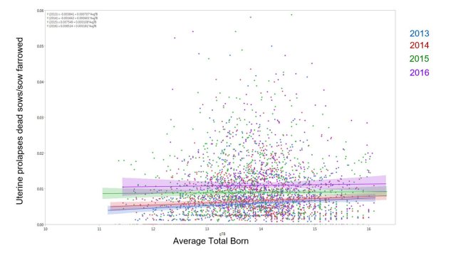 Figura 1. Resultados del modelo de porcentaje de cerdas muertas debido a prolapso uterino por el total de cerdas paridas por la media de nacidos totales a través de los años (Media ± 95%CI) 2014, 2015, 2016, y 2017