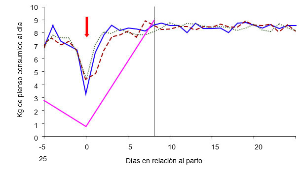 Gráfico 4: Esquema de alimentación de las cerdas en función de la condición corporal de la cerda el día 105 y del régimen de alimentación: ad libitum (verde, azul, rojo) o estándar (rosa) (A. Cools, 2014)