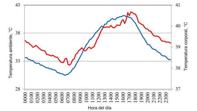 Figura 1. Variaciones en la temperatura corporal (rojo) de cerdos alojados en condiciones de estrés por calor, en respuesta a cambios en la temperatura ambiente (azul) durante un día típico del verano del año 2015 en el valle de Mexicali (Cervantes et al., 2017).