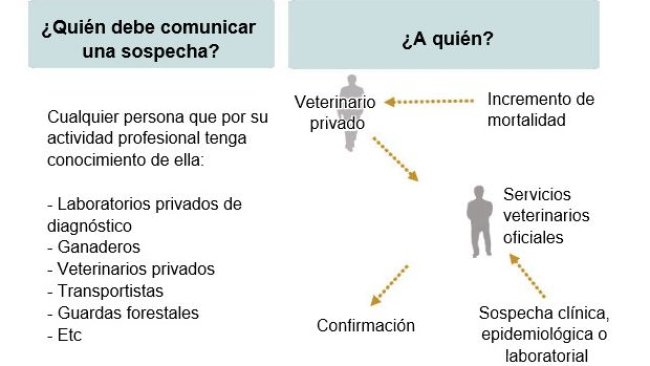 Enfermedades de Declaración Obligatoria (adaptado del MAPAMA, España)
