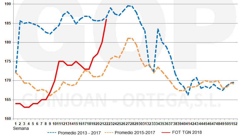 Gr&aacute;fico 3. Estacionalidad precios ma&iacute;z FOT, &euro;/t (origen almac&eacute;n puerto Tarragona). Fuente: lonja de cereales Barcelona
