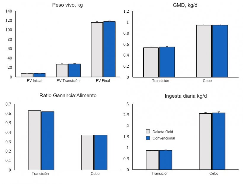Figura 1. Crecimiento de cerdos de engorde alimentados con DDGS Dakota Gold o Convencional.
