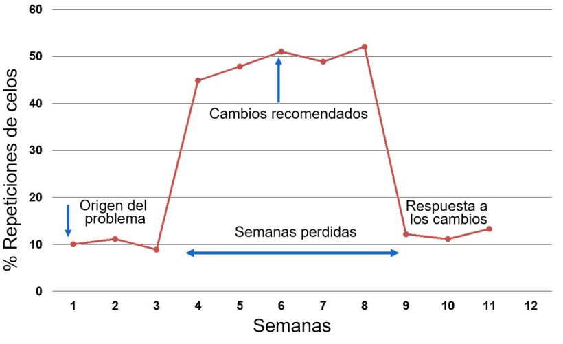Gr&aacute;fico 1. Respuesta reportada por semana de servicio o monta.