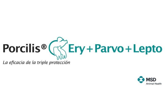 Porcilis® Ery+Parvo+Lepto