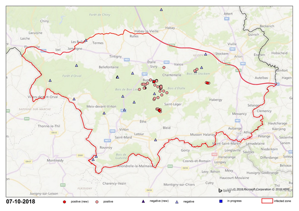 D&eacute;limitation de la zone infect&eacute;e (ZI) &eacute;tablie au Sud de la Belgique et localisation des cas positifs et r&eacute;sultats n&eacute;gatifs obtenus sur les sangliers pr&eacute;lev&eacute;s (source&nbsp;: Afsca au 07/10/2018)
