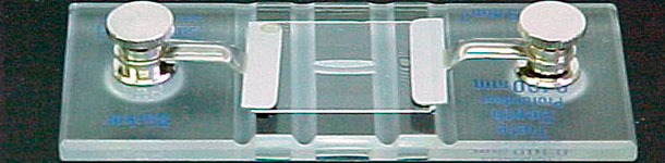 C&aacute;mara de Neubauer