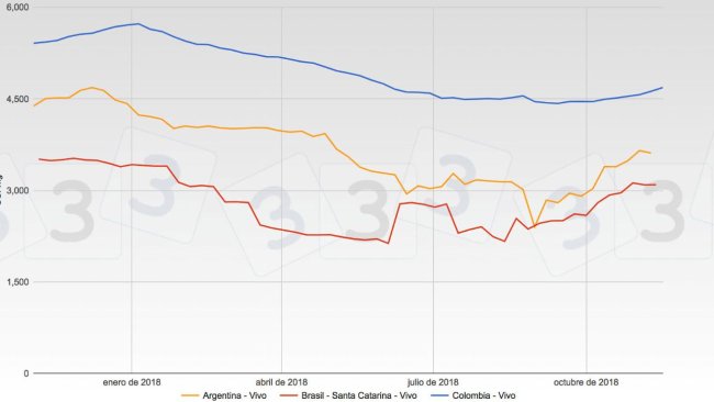 Grafica 1. Evolución de las cotizaciones de Argentina, Brasil y Colombia en 2018.