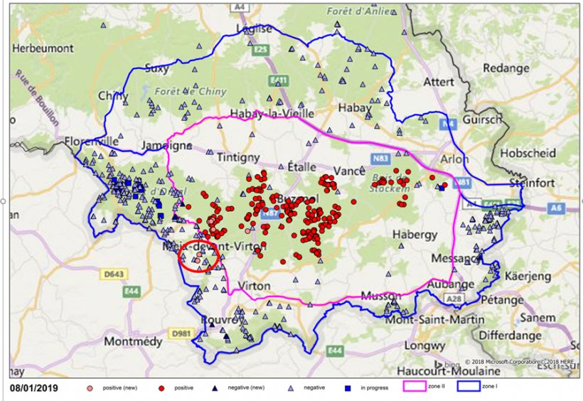 Ubicaci&oacute;n de las muestras (negativas en azul y positivas en rojo) en jabal&iacute;es en el sur de B&eacute;lgica (los dos nuevos casos rodeados en rojo).
