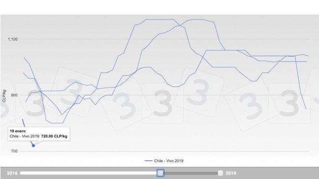 Gráfico 1. Evolución de las cotizaciones en los últimos 3 años en el mercado porcino chileno.