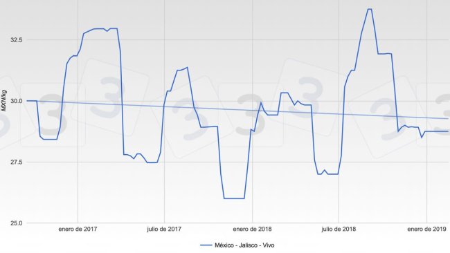 Gráfica 1. Evolución de las cotizaciones en la bolsa de Jalisco durante los dos últimos años.