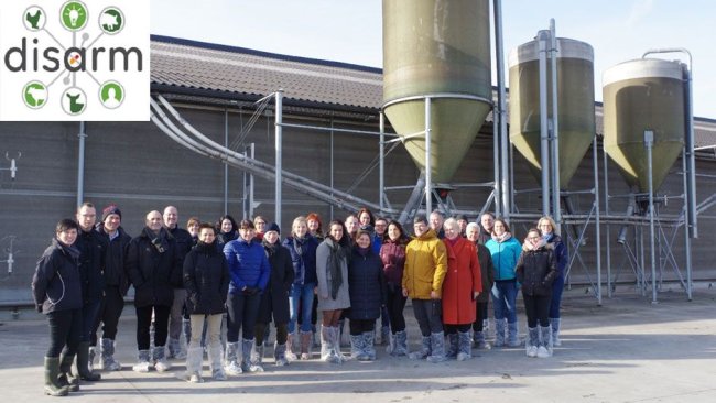 Los miembros del consorcio DISARM promueven el uso responsable de antibióticos en la cría de ganado mediante la identificación activa, el intercambio y la difusión de las mejores prácticas.