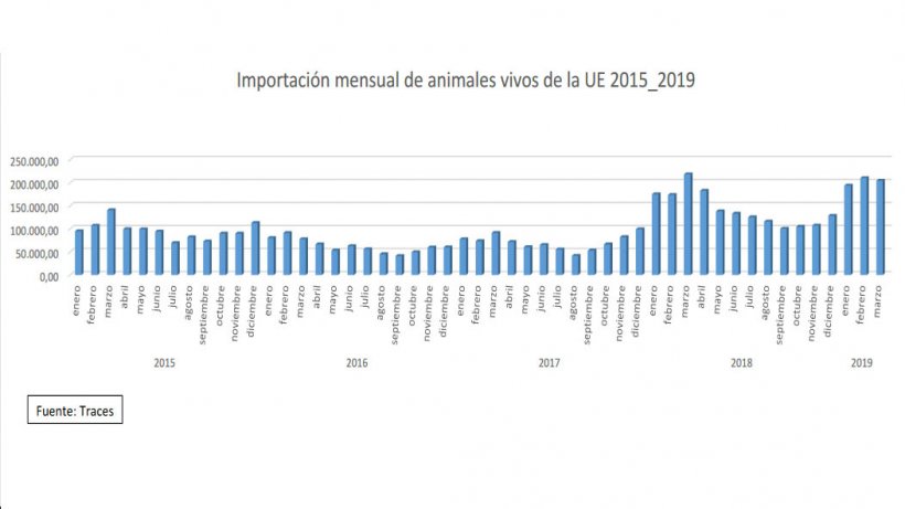 importacion lechones