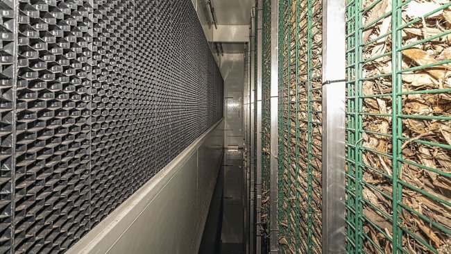 Después del lavado con agua, el aire se guía a través de la pared de filtro biológico.