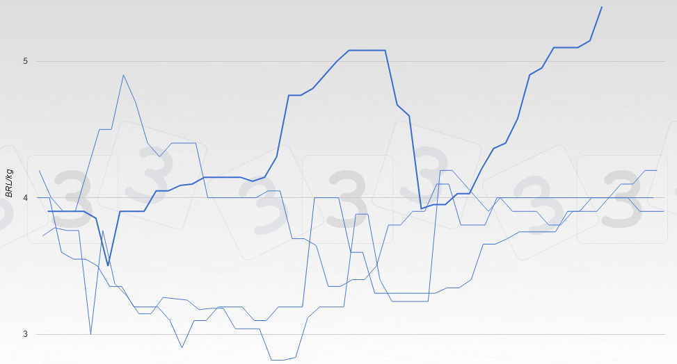 Evoluci&oacute;n del precio del cerdo en Brasil,&nbsp;Paran&aacute; (vivo).
