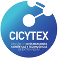 Cicytex 1