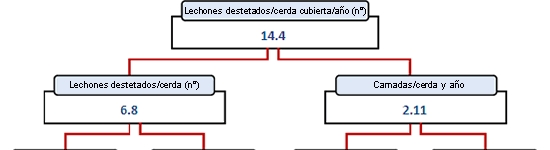 Cerdo ibérico de la estirpe Guadyerbas