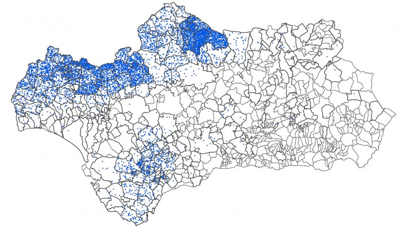 Porcinos extensivos de Andaluc&iacute;a (2016)
