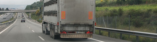 201003_transporte_matadero