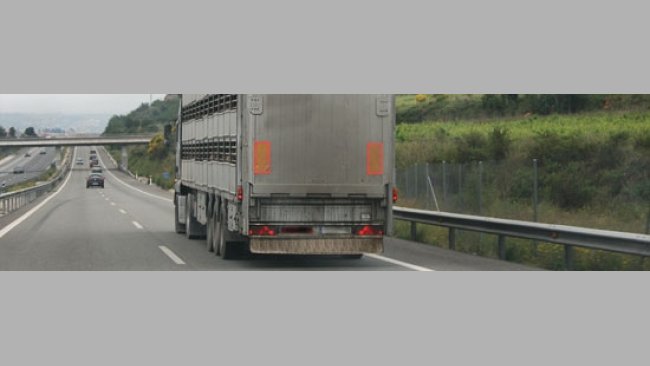 201003_transporte_matadero