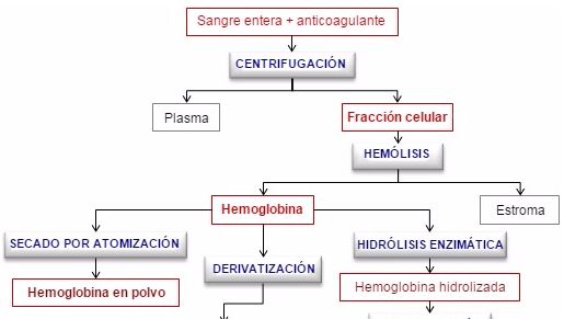 Principales productos derivados de la fracci&oacute;n celular de la sangre de matadero
