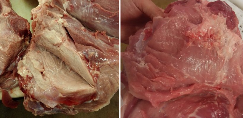 Imagen 1. Presencia de PSE en el interior de un jam&oacute;n (izquierda) e interior de un jam&oacute;n con WHC est&aacute;ndar (derecha). Se observa perfectamente la diferencia entre color blanquinoso en el caso del PSE y rosado en el caso de un jam&oacute;n est&aacute;ndar.
