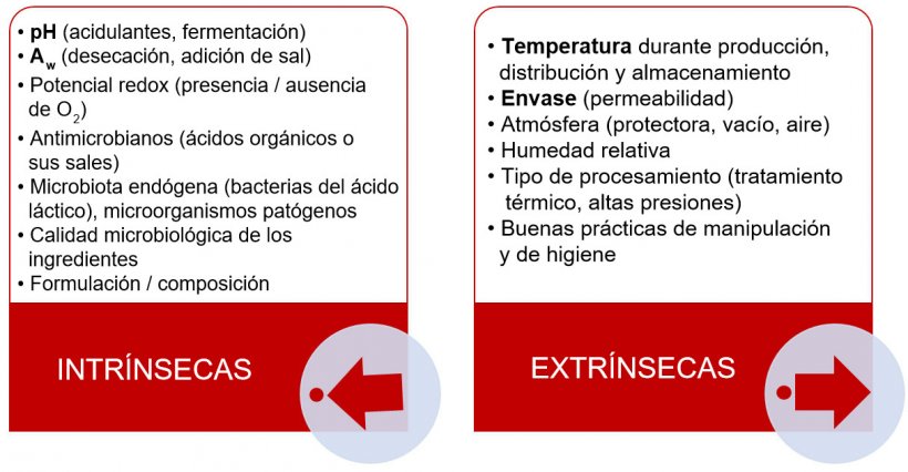 Figura 2. Caracter&iacute;sticas intr&iacute;nsecas y extr&iacute;nsecas que se identifican de manera m&aacute;s frecuente en los alimentos y que pueden afectar la vida &uacute;til. Entre par&eacute;ntesis se indican algunos ejemplos de factores asociados.
