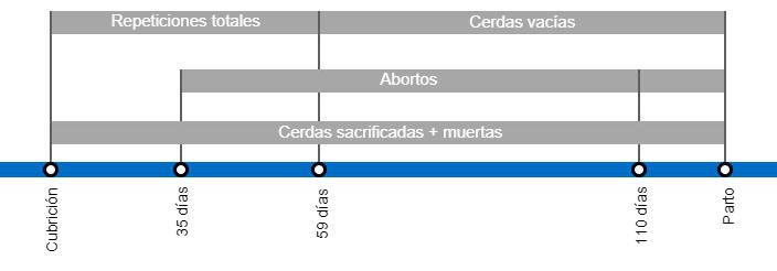 Tipos de p&eacute;rdidas de gestaci&oacute;n que repercuten en una menor tasa de partos y periodo en el que se producen despu&eacute;s de la cubrici&oacute;n.
