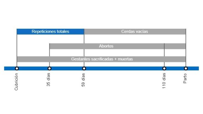 Tipos de pérdidas de gestación que repercuten en una menor tasa de partos y periodo en el que se producen después de la cubrición.