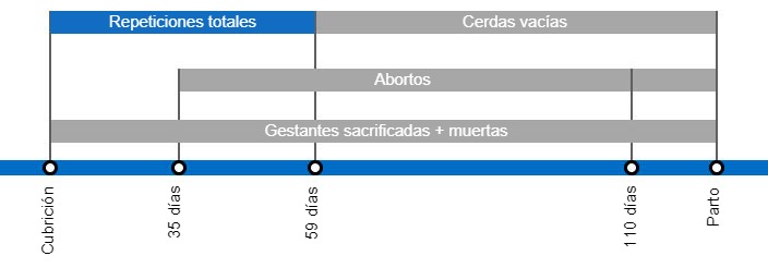 Tipos de p&eacute;rdidas de gestaci&oacute;n que repercuten en una menor tasa de partos y periodo en el que se producen despu&eacute;s de la cubrici&oacute;n.
