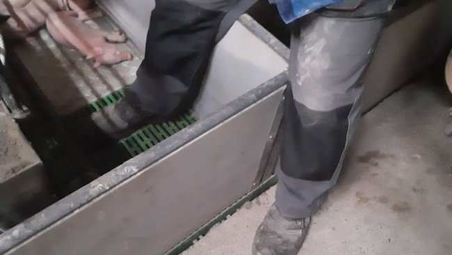 Imagen 1: En la medida de lo posible, debe evitarse pisar en el interior de una paridera. Foto cortesía de Ramaderies Duch. 