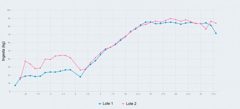Figura 1. Consumo de pienso desde el d&iacute;a 107 de gestaci&oacute;n hasta el destete (d&iacute;a 28 de lactaci&oacute;n) de cerdas alimentadas con un m&aacute;ximo de 2,8 kg/d&iacute;a (Lote 1) y 4,2 kg/d&iacute;a (Lote 2) de pienso durante los d&iacute;as previos al parto.

