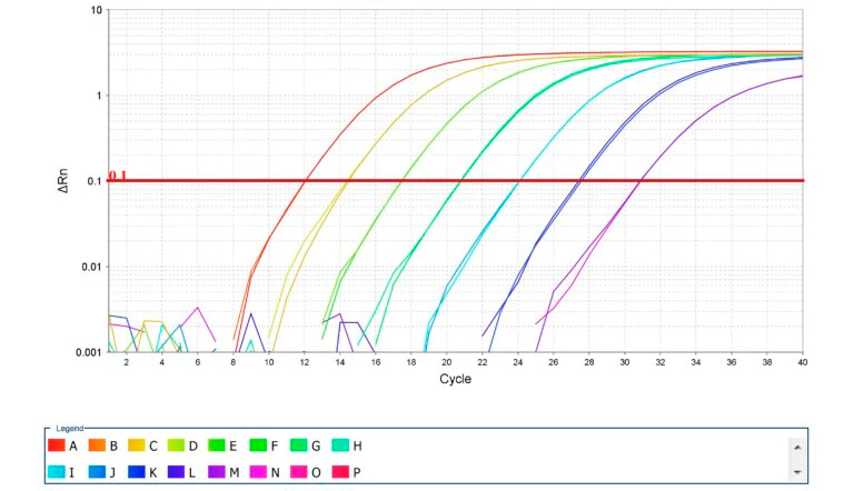 Imagen 2. Amplificaci&oacute;n de curvas est&aacute;ndar para PCR cuantitativo. Fuente: Thermo Fisher Scientific Inc.
