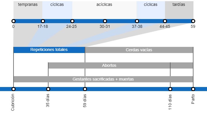 Tipos de p&eacute;rdidas de gestaci&oacute;n que repercuten en una menor tasa de partos, con el detalle de los distintos tipos de repeticiones seg&uacute;n en el momento en que se producen.
