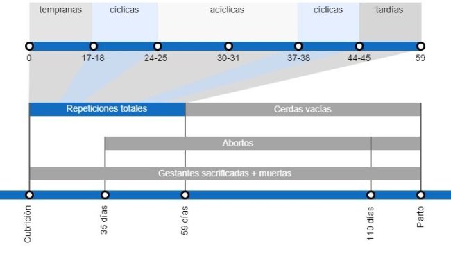 Tipos de pérdidas de gestación que repercuten en una menor tasa de partos, con el detalle de los distintos tipos de repeticiones según en el momento en que se producen.