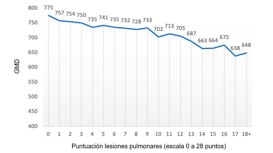 Figura 2: Valor de la GMD (gramos) en funci&oacute;n de la puntuaci&oacute;n de lesiones pulmonares (escala de 0 a 28 puntos). Adaptado de Pagot et al. (2007).