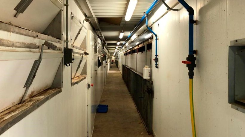 Imagen 2. El uso de pediluvios a la entrada de las salas de maternidad, as&iacute; como las medidas generales de limpieza y orden en la granja, son importantes para minimizar la presi&oacute;n de infecci&oacute;n.
