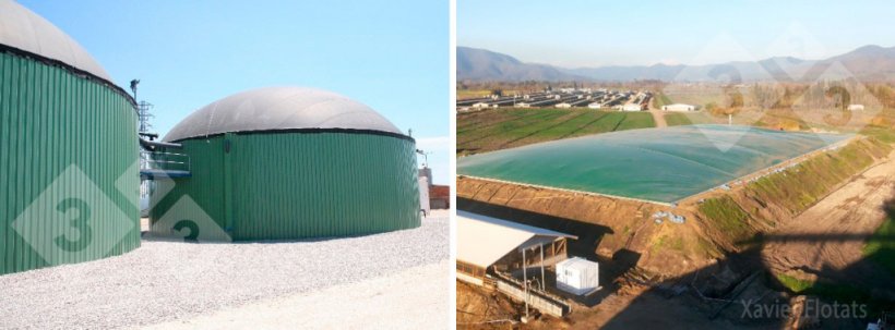 Figura 2. Digestores usuales en el sector porcino. Izquierda: reactor anaerobio de mezcla completa con codigesti&oacute;n en una granja de cerdos (gentileza de Ecobiogas, Vila-sana, Lleida); Derecha: laguna anaerobia cubierta con recuperaci&oacute;n del gas (gentileza de Agr&iacute;cola AASA, Chile).
