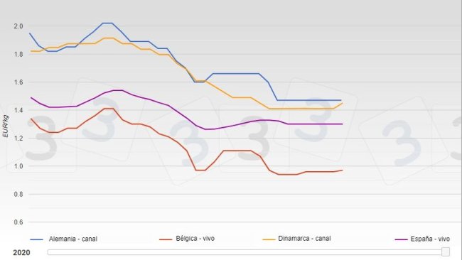 Evolución del precios del cerdo en varios países europeos de enero a agosto de 2020.