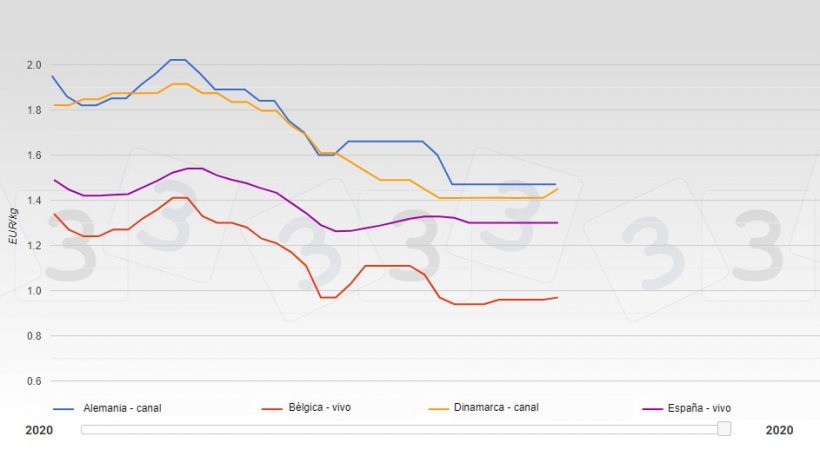 Evoluci&oacute;n del precios del cerdo en varios pa&iacute;ses europeos de enero a agosto de 2020.
