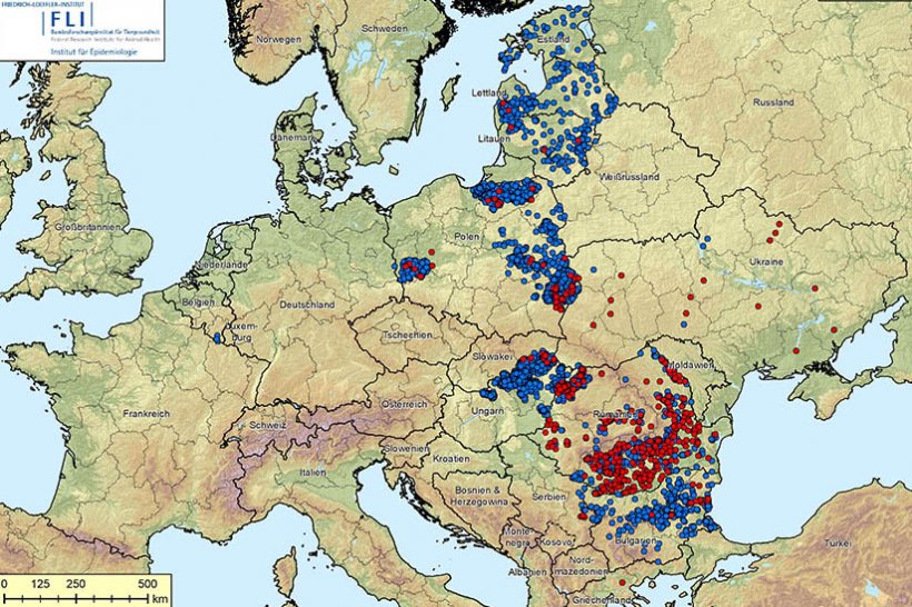 Focos de PPA en Europa a 10 de septiembre de 2020. En azul focos en jabal&iacute;s y en rojo focos en cerdo dom&eacute;stico. Fuente: FLI.
