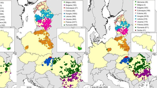 Mapa de casos en jabalíes declarados en 2018, 2019 y 2020 (hasta 28 septiembre2020) (Fuente: MAPA a partir de datos de RASVE-ADNS)