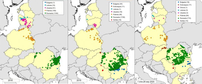 Mapa de focos declarados en cerdos dom&eacute;sticos en 2018, 2019 y 2020 (hasta 28 septiembre2020) (Fuente: MAPA a partir de datos de RASVE-ADNS)
