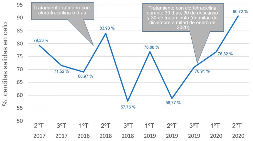 Gr&aacute;fico&nbsp;1. Evoluci&oacute;n del porcentaje de cerditas con signos de celo.
