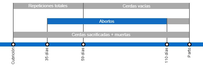 Tipos de p&eacute;rdidas de gestaci&oacute;n que repercuten en una menor tasa de partos y periodo en el que se producen despu&eacute;s de la cubrici&oacute;n.
