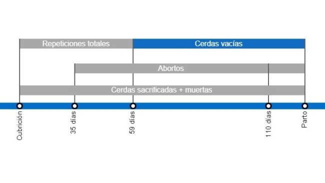Tipos de pérdidas de gestación que repercuten en una menor tasa de partos, con el detalle de los distintos tipos de repeticiones según en el momento en que se producen.