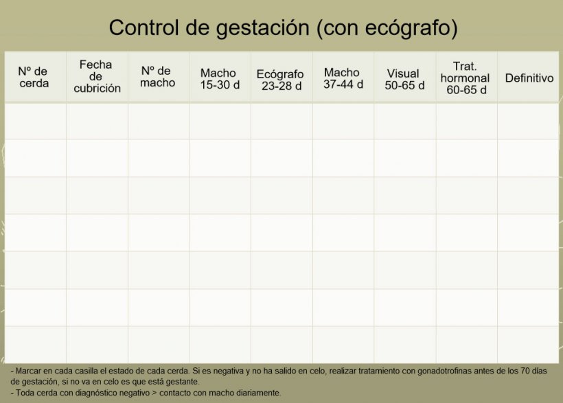 Control de gestación