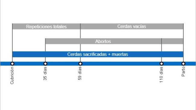 Tipos de pérdidas de gestación que repercuten en una menor tasa de partos, con el detalle de los distintos tipos de repeticiones según en el momento en que se producen.