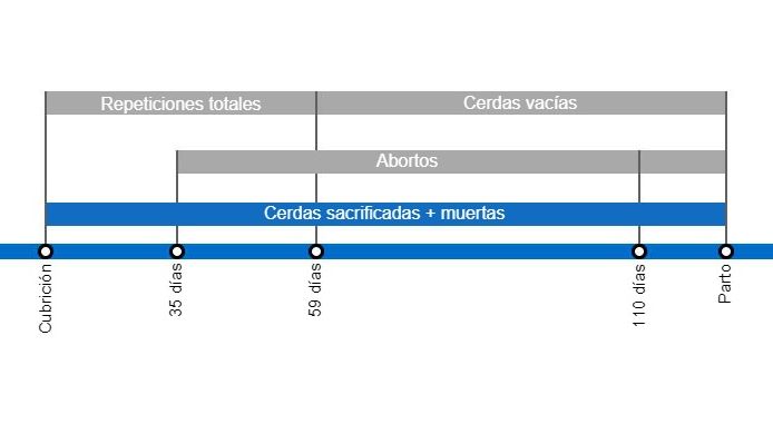  Tipos de p&eacute;rdidas de gestaci&oacute;n que repercuten en una menor tasa de partos, con el detalle de los distintos tipos de repeticiones seg&uacute;n en el momento en que se producen.