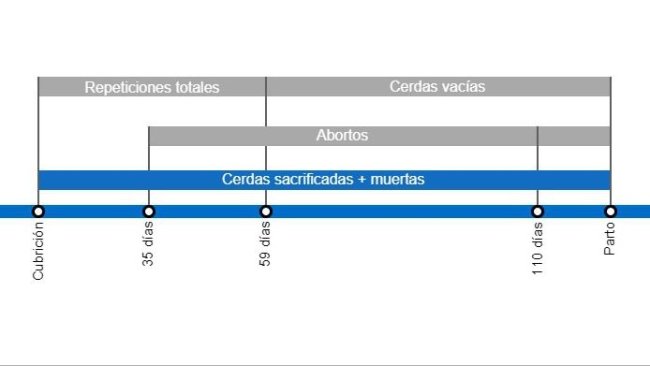 Tipos de pérdidas de gestación que repercuten en una menor tasa de partos, con el detalle de los distintos tipos de repeticiones según en el momento en que se producen.